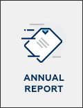 annual report icon