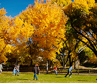 people in park