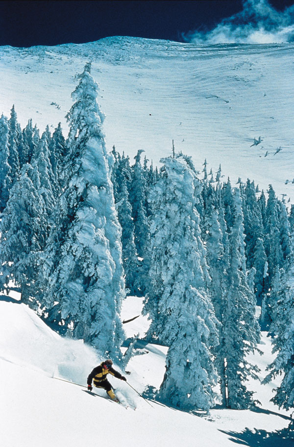 AZ Snow bowl