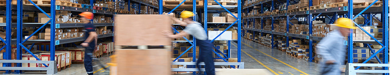 workers in warehouse