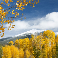 Flagstaff (AFCI)