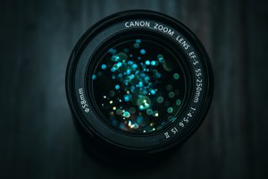 Search Photography