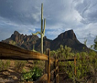 fence on ranch