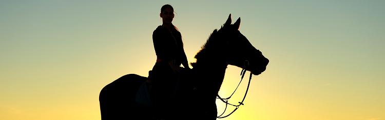 silhouette of person on horse