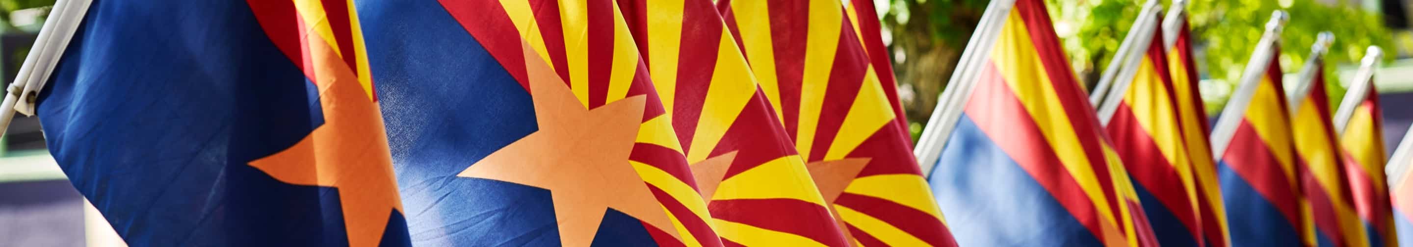 line of Arizona flags