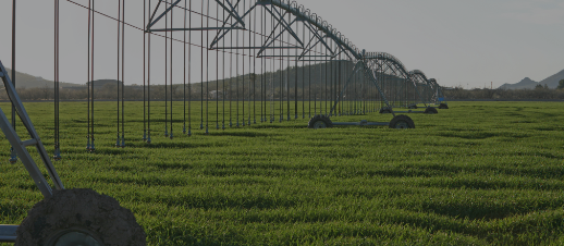 Fields getting watered by machine