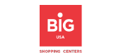 Big USA logo