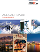 FY17 annual report website