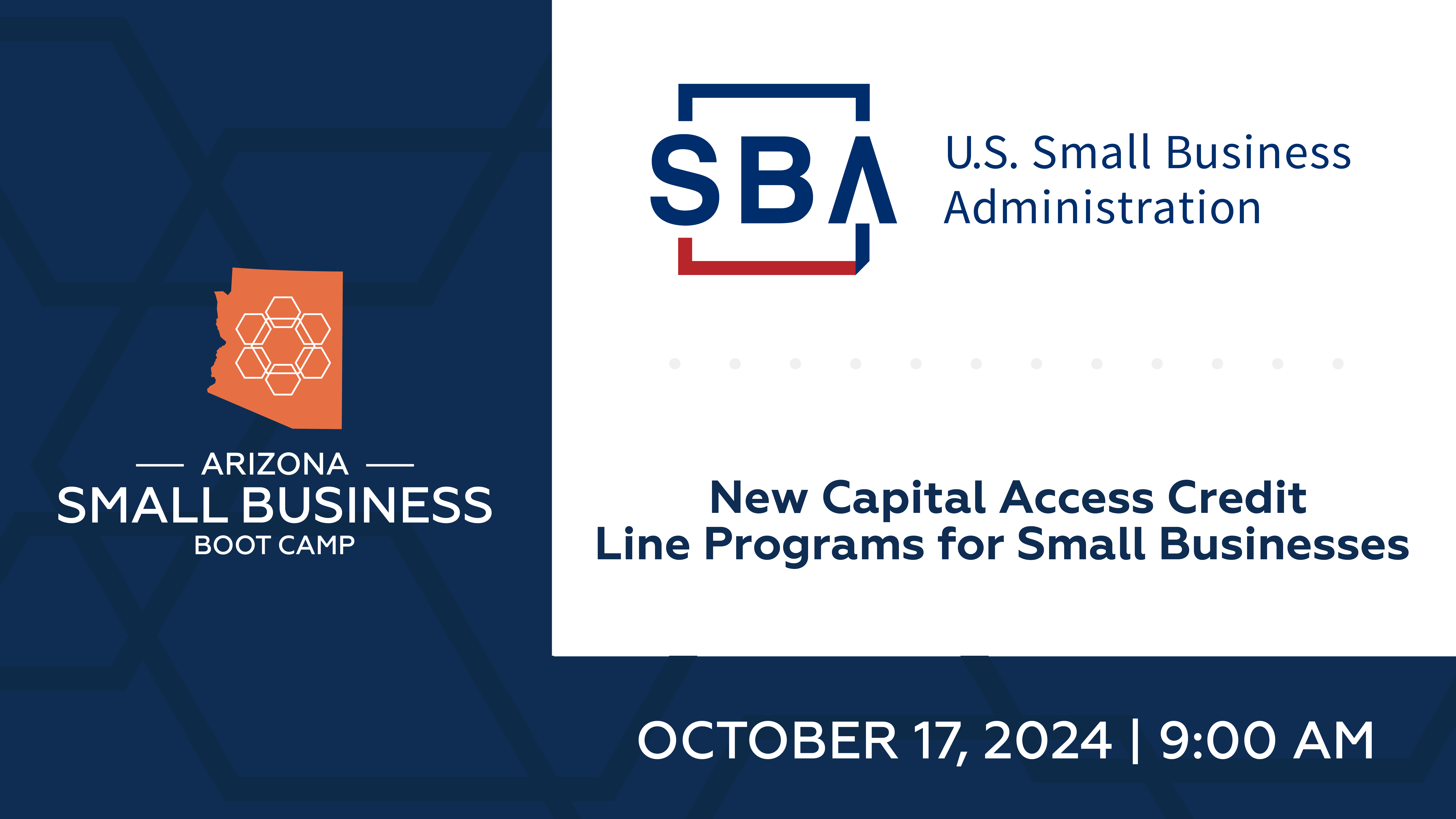 New Capital Access Credit Line Programs for Small Businesses 