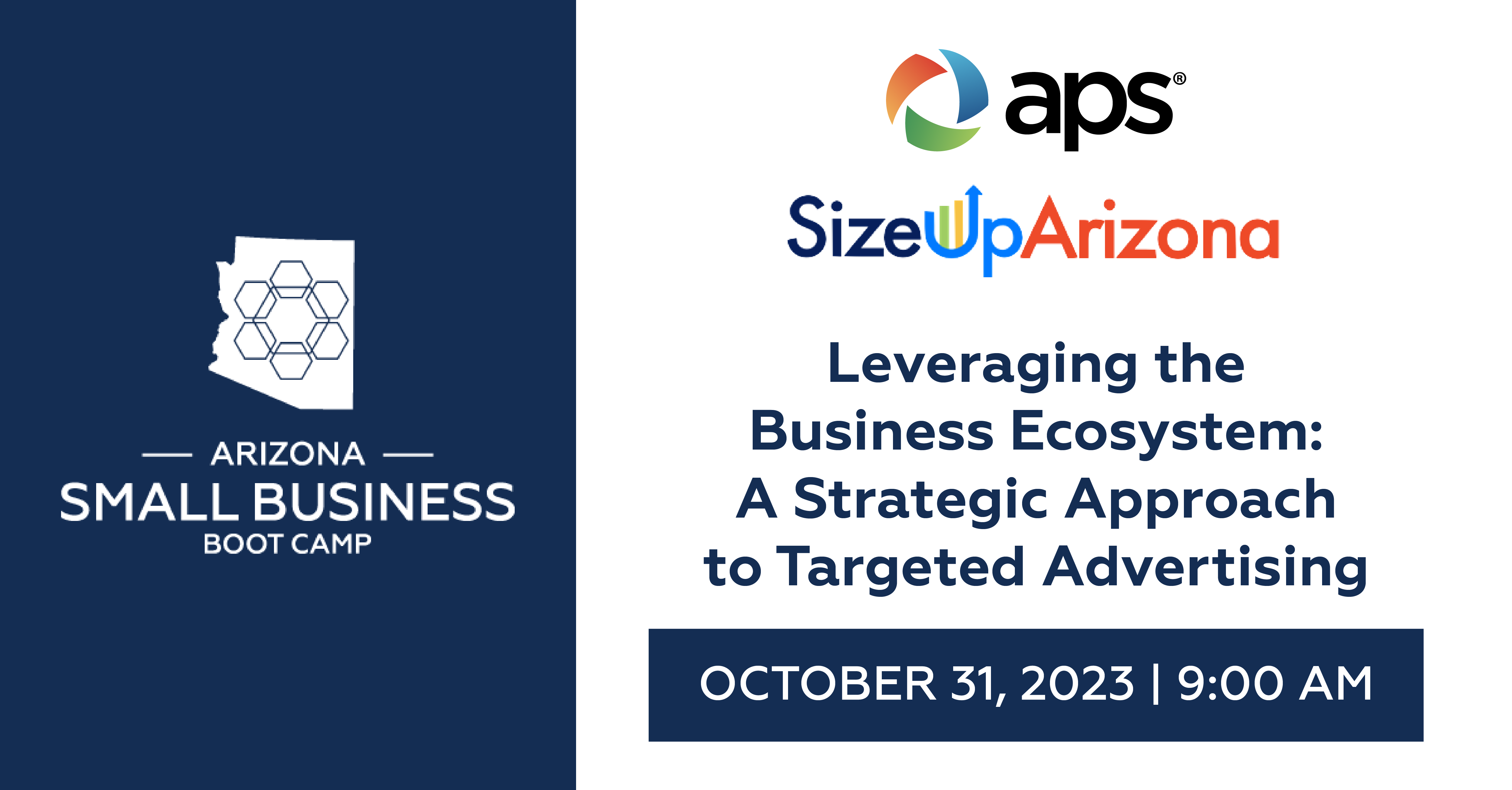 Leveraging the Business Ecosystem: A Strategic Approach to Targeted Advertising