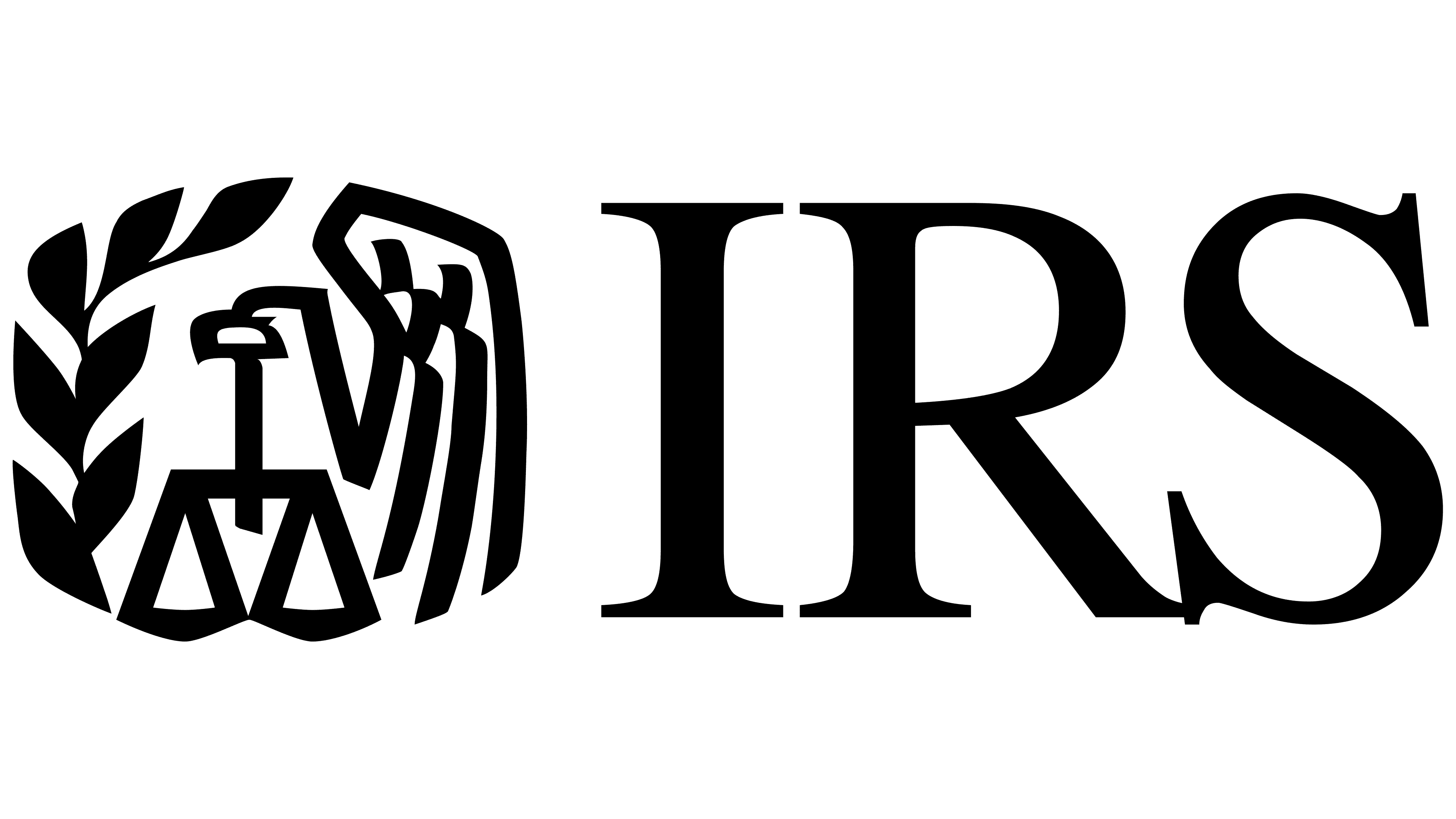 IRS logo