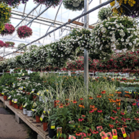 Indoor garden